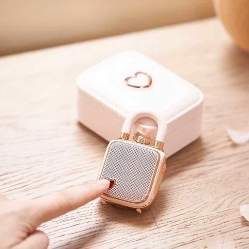 مینی اسپیکر بلوتوثی قابل حمل شارژی دیووم LOVE LOCK
