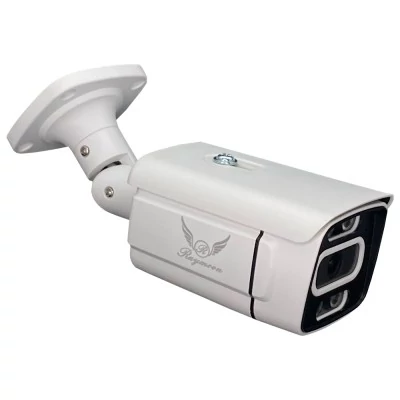دوربین مداربسته تحت شبکه رایمون مدل POE کد 8302